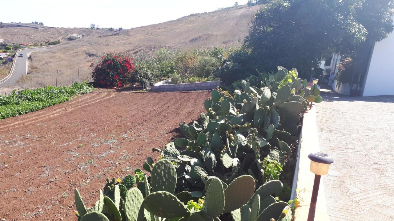 Casa Cueva Villa Aday Santa Maria de Guia de Gran Canaria Luaran gambar